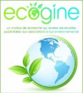 Ecogine - Le moteur de recherche qui reverse ses profits aux associations à but environnemental
