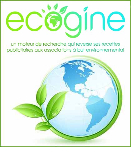 Ecogine - Le moteur de recherche qui reverse ses profits aux associations à but environnemental